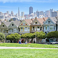 Painted Ladies