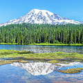 Reflection Lake