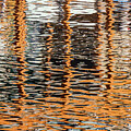 Water Reflections #2